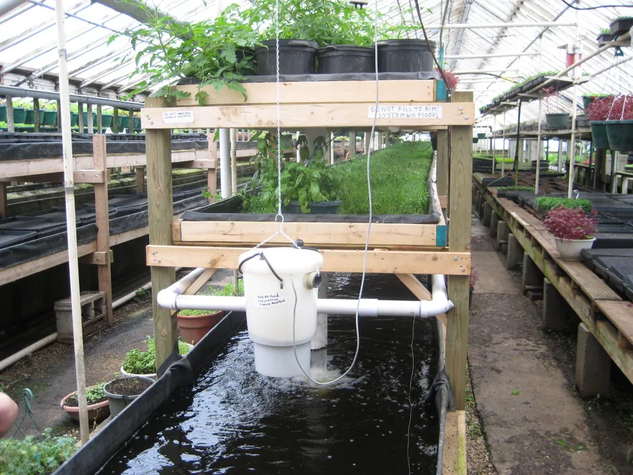 Aquaponik-Anlage mit Kräutern und Salat auf Anbaurinnen in einem Innenraum.