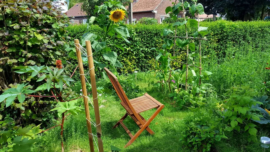 Naturnaher Permakultur-Garten mit Sonnenblume, Kletterpflanzen und Gemüse.
