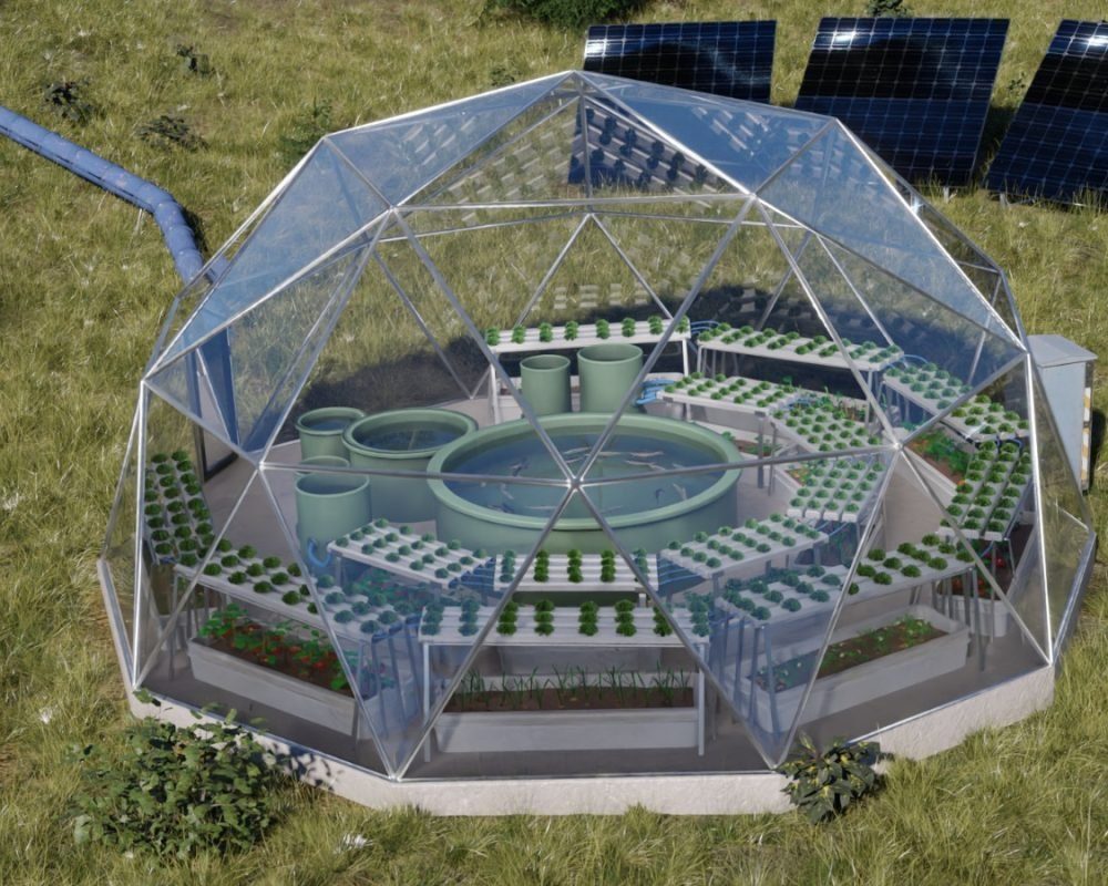 World Eden Era, Project Oasis